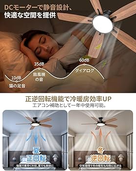 Amazon.co.jp : 【節電-5年保証】TALOYA シーリングファンライト